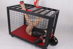 bdsm cage, bondage cage, dungeon cage, pet, training, bdsm furniture, humiliation, kitten play, sex furniture, bondage