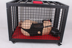 bdsm cage, bondage cage, dungeon cage, pet, training, bdsm furniture, humiliation, kitten play, sex furniture, bondage